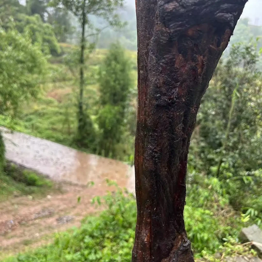 重庆烟熏五花腊肉