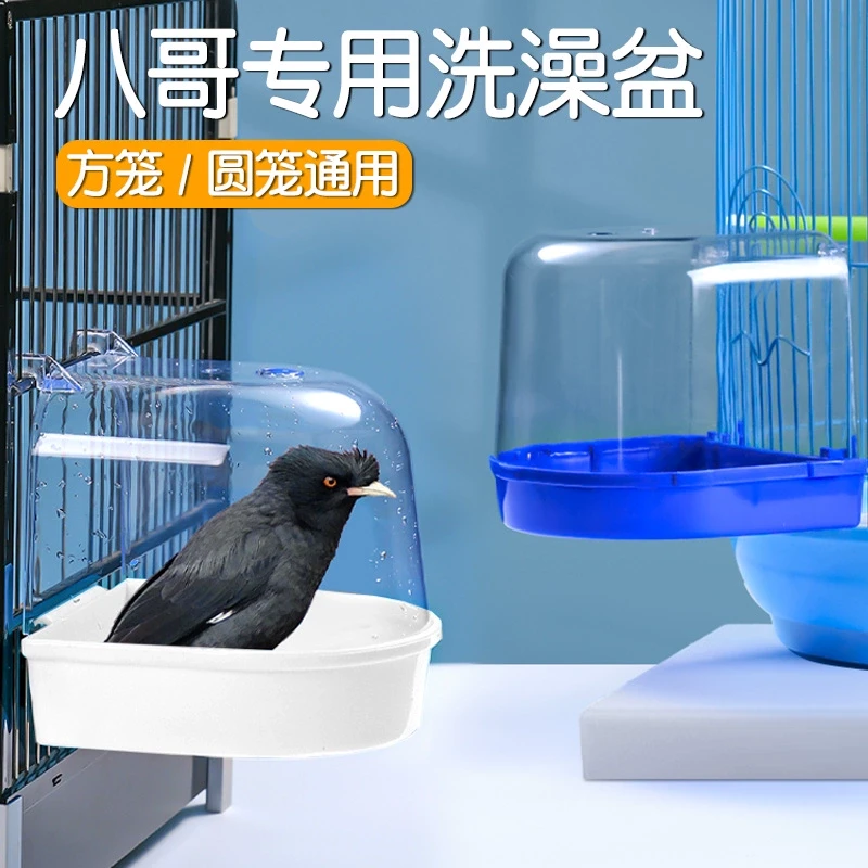 八哥专用洗澡盆神器玄凤小太阳和尚鹦鹉洗澡盆自动鸟浴室外挂用品