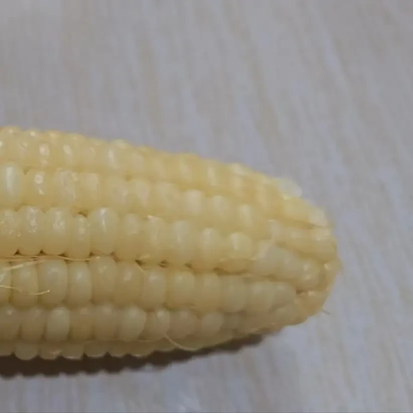 白糯玉米新鲜甜糯现掰现发(7到9棒)