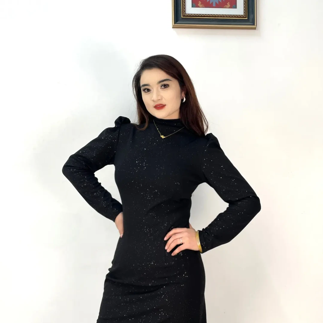 A11新疆包邮黑色修身显瘦打底连衣裙秋冬配大衣内搭中长款包臀裙