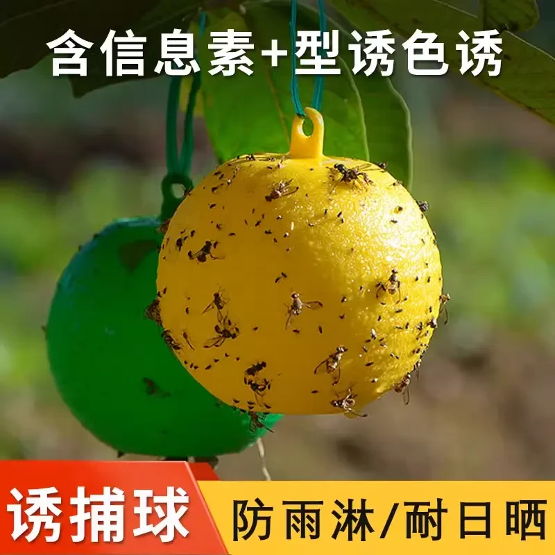 粘虫球瓜果园大小实蝇丝瓜柑橘大实蝇诱蝇球杀针蜂贴果蝇诱捕好物