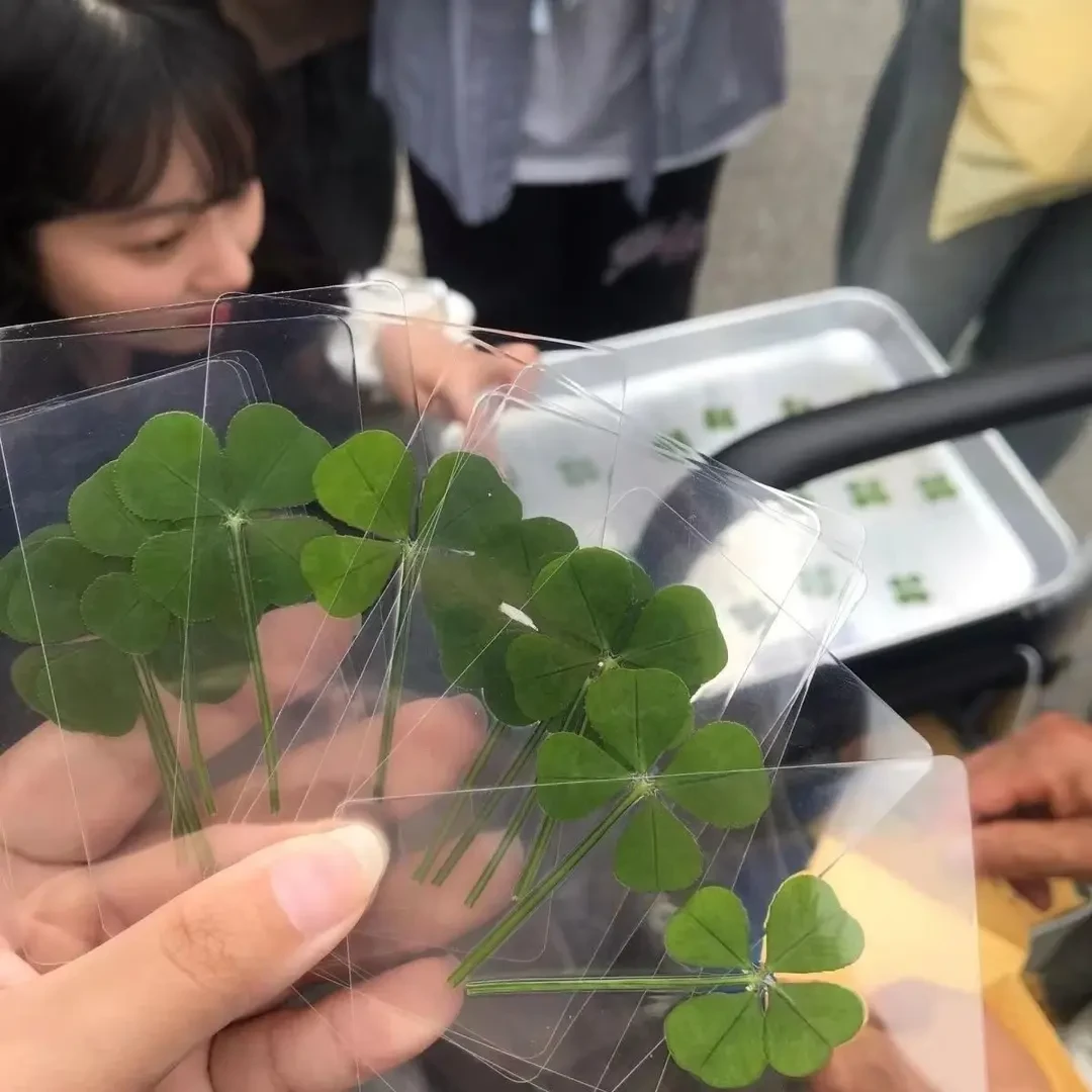 幸运四叶草透卡全新款书签许愿治愈清新简约可爱风透明卡