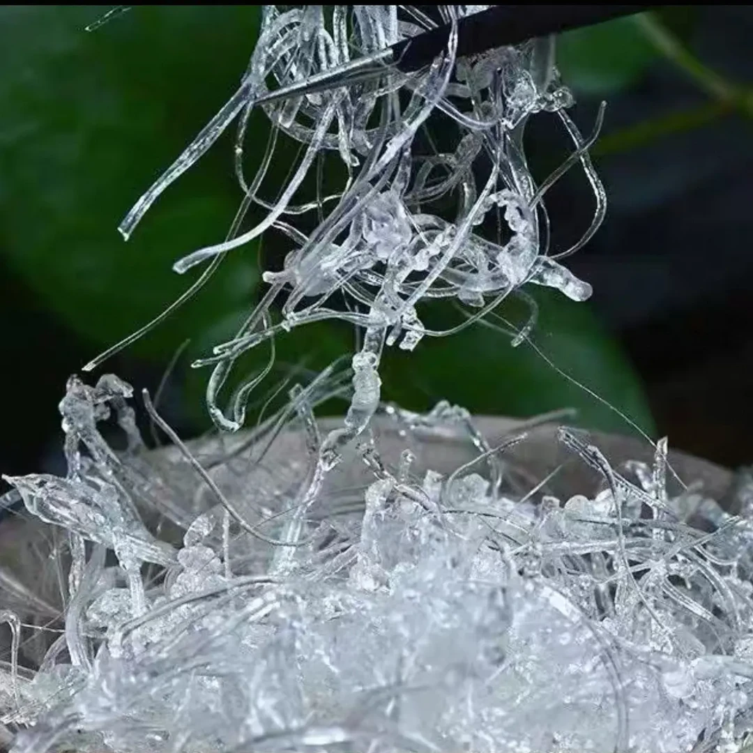 龙须雪燕 天然拉丝 山野好货 云南特产 植物血燕素正品