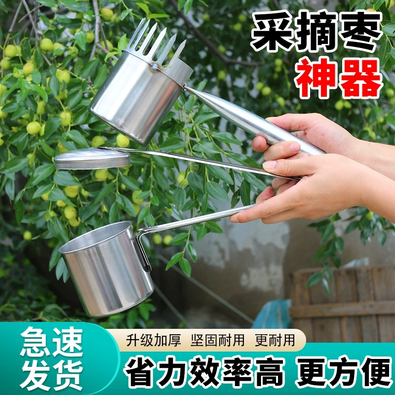 2024新款专用酸枣不锈钢摘果器采果山枣柏树神器小枣工具扎手大号