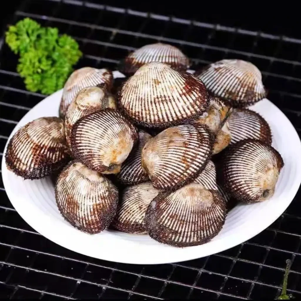 大连长海县广鹿岛毛蛤小赤贝天然海捕新鲜上市