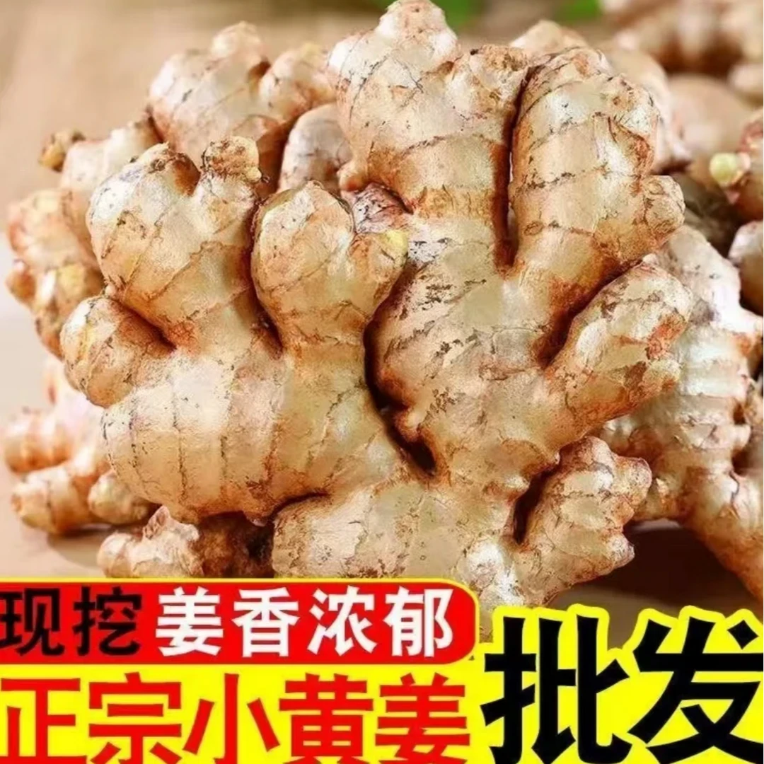 正宗云南小黄姜山地种植香味浓郁辛辣适中2025年现挖新老姜两仓发