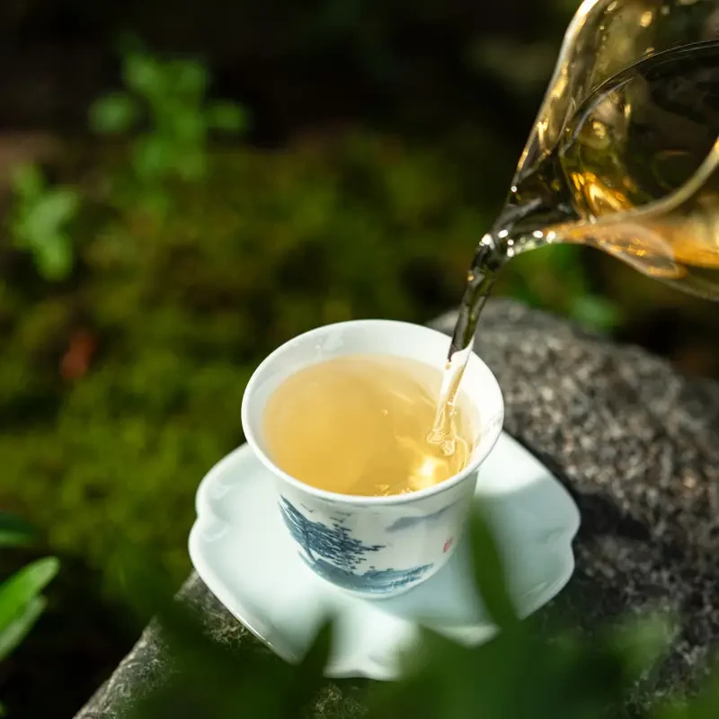 昔归忙麓山白茶  云南白茶 100g