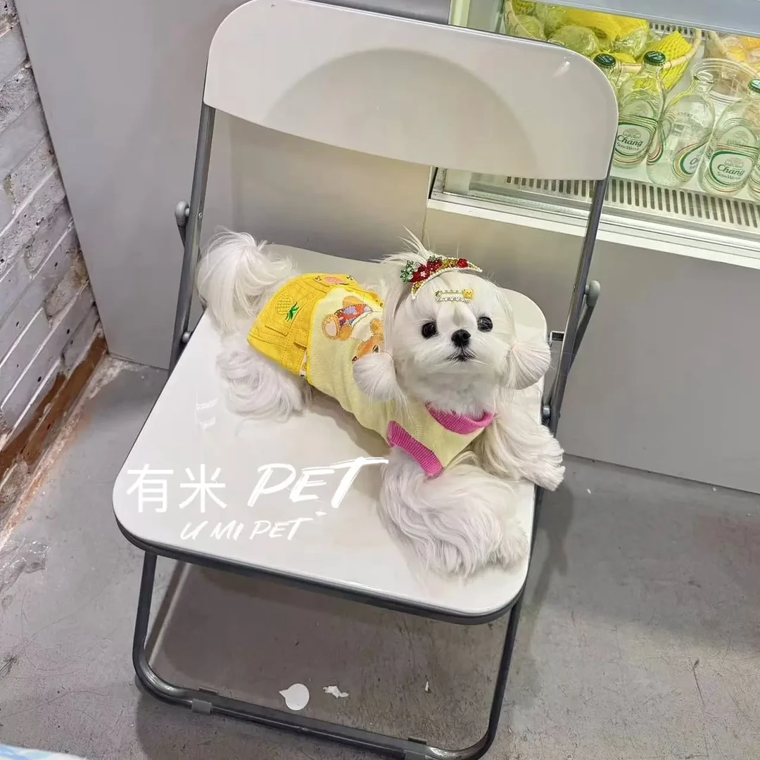 有米 PET 黄油小熊系列4