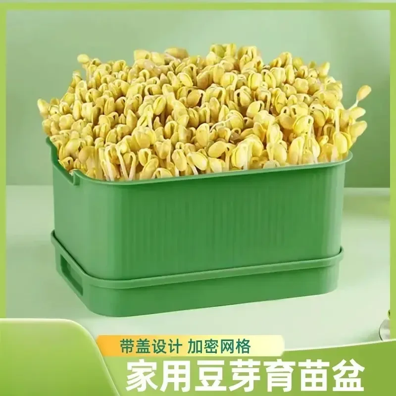 【新疆包邮】发豆芽专用盆家用育苗盆豆芽生黄豆绿豆芽苗盒分格网格