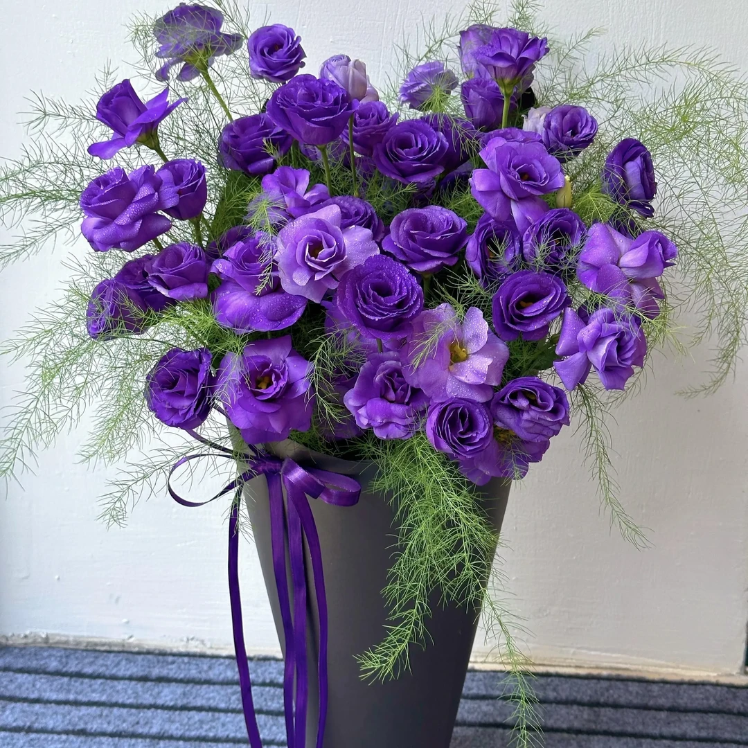 【套餐A】【洋桔梗➕芦荀草】不带包装非成品 0°以下地区要加拍保温棉