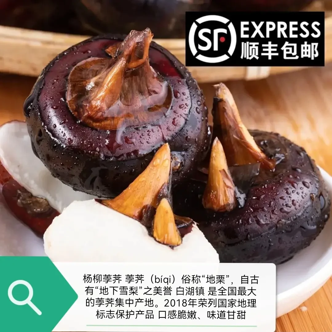 新鲜现挖清甜脆爽马蹄荸荠当季水果