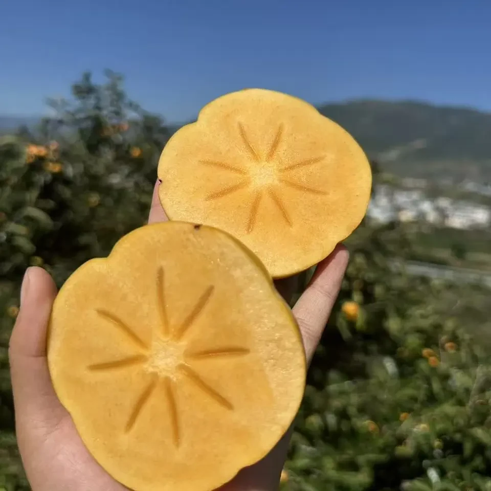 云南当季树上熟果黄肉圆果清甜多汁