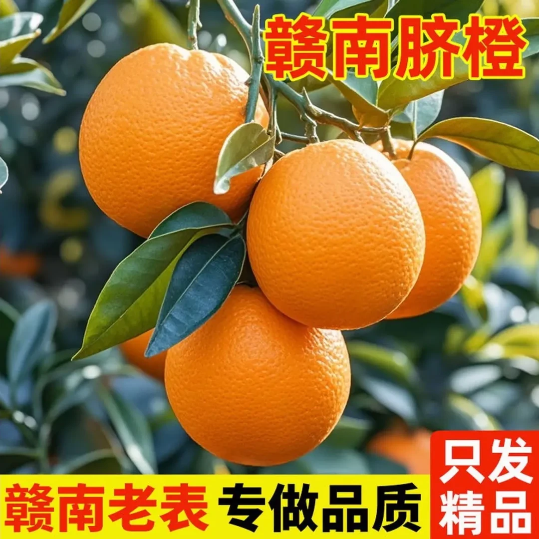 正宗江西赣南脐橙新鲜当季水大果产地直发香甜多汁