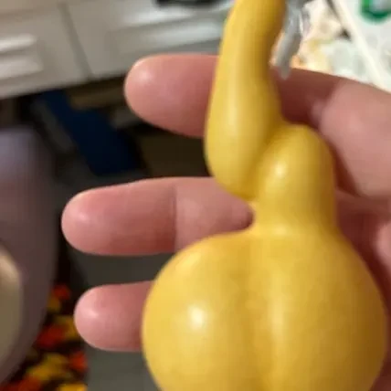 天然精品文玩带龙头小葫芦手把件可盘玩