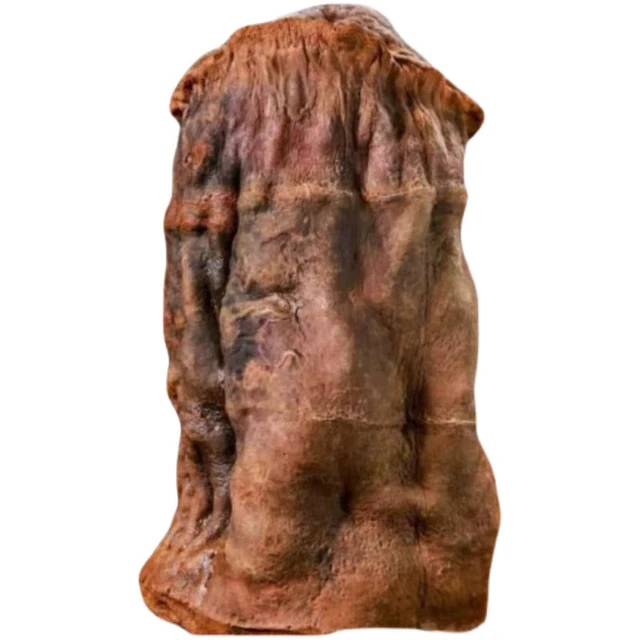 【太岁老店】长白山千年太岁纯天然白肉石太岁活体泡水肉灵芝