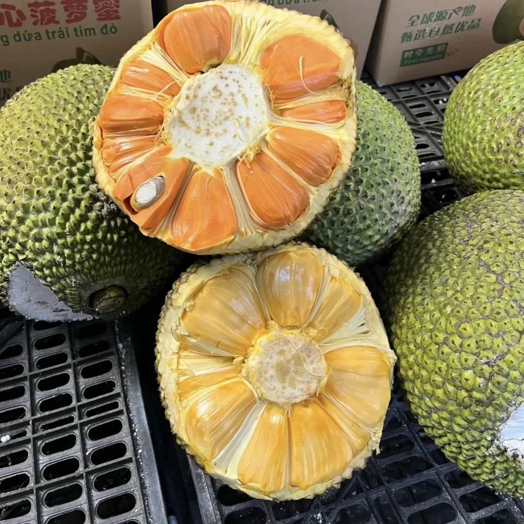 同城发货菠萝蜜新鲜水果脆甜爽口无需催熟收到即食