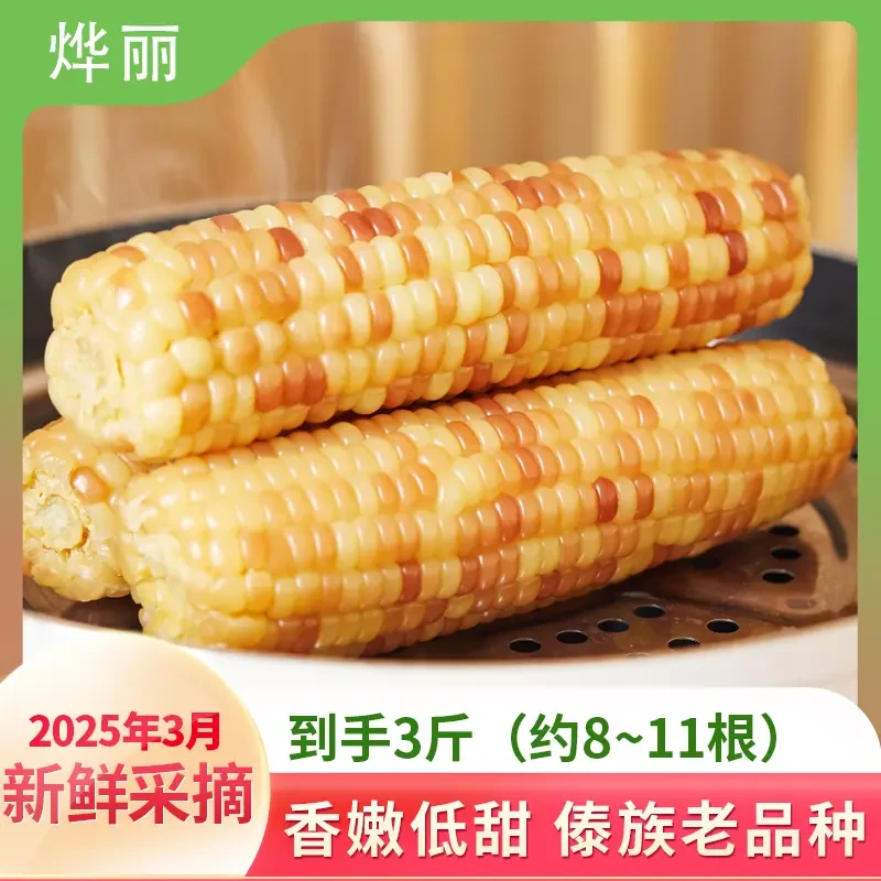 西双版纳小花糯玉米3斤（8～11根）新鲜玉米真空包装香糯即食东北