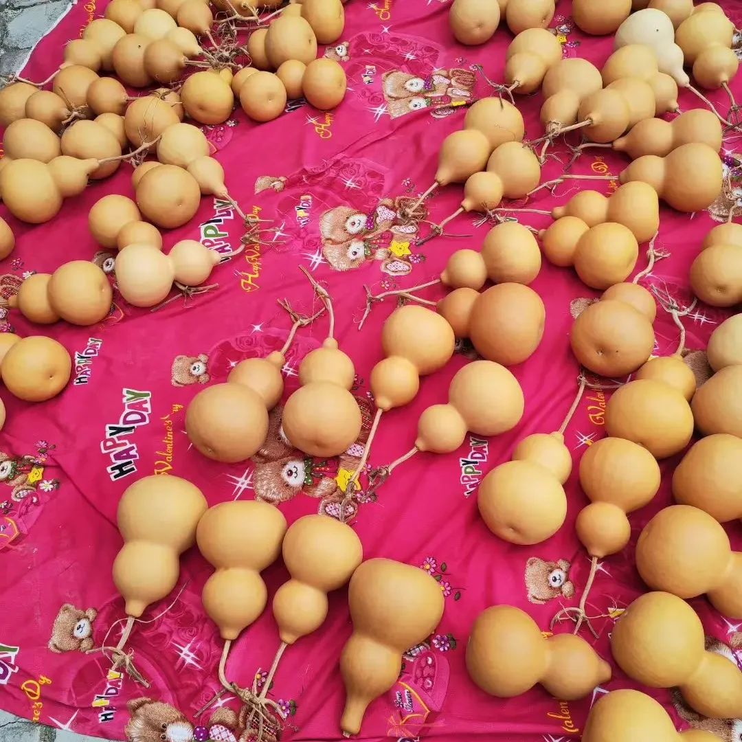 天然小葫芦手把件带龙头可盘玩文玩葫芦福禄葫芦适合文玩爱好者