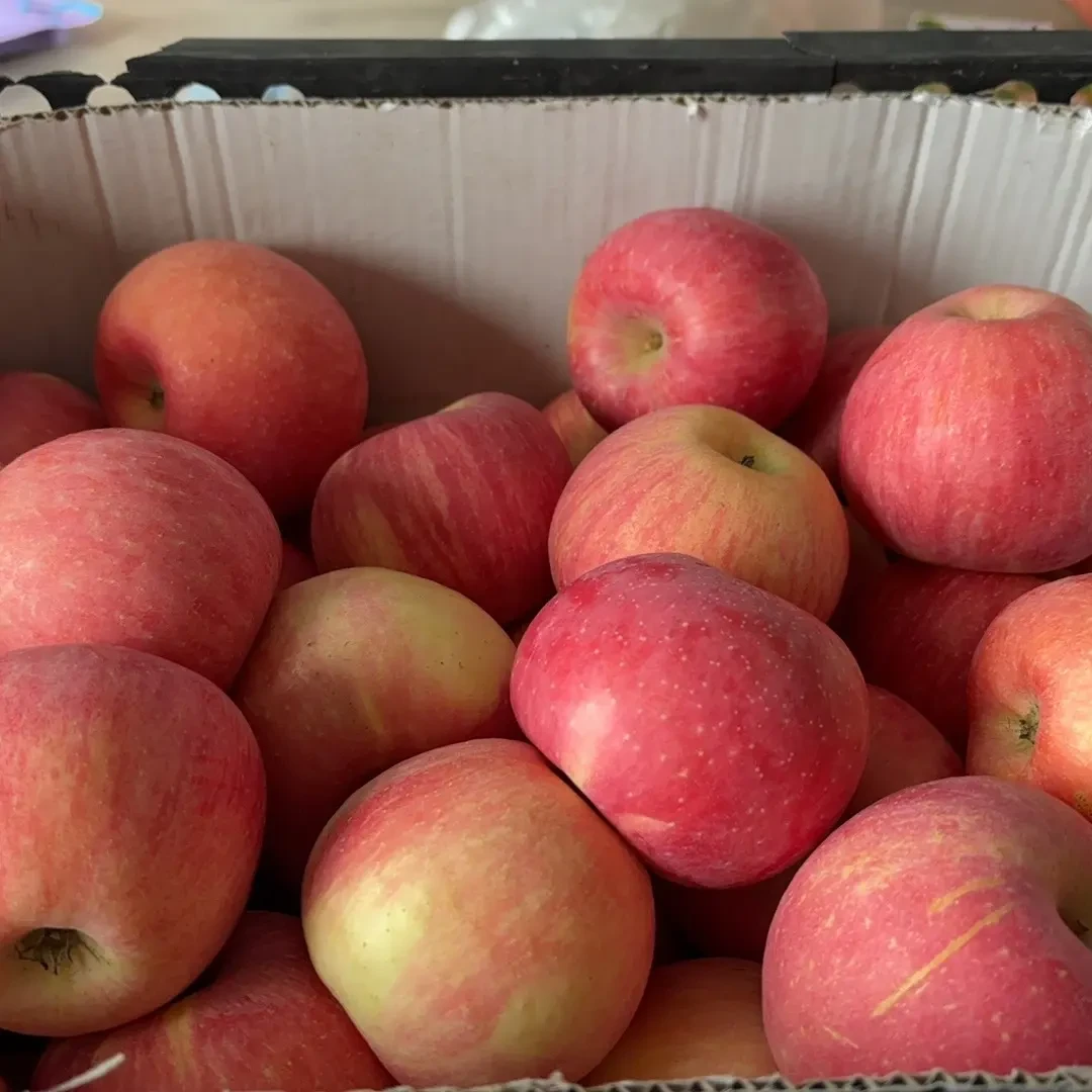 1️⃣【煜鑫果品】山西翼城红富士苹果水果24个装（偏远地区不包邮）