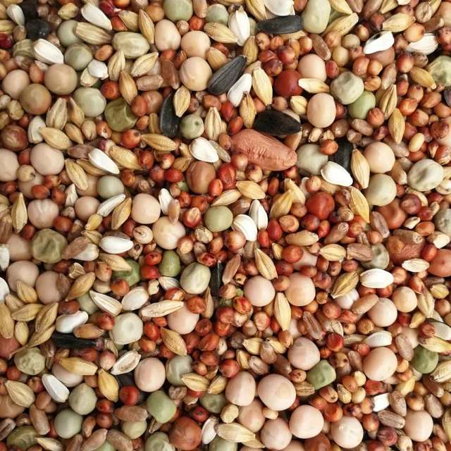 A级20斤无玉米鸽子粮食营养饲料鸟食信鸽观赏鸽肉鸽幼鸽成鸽粮