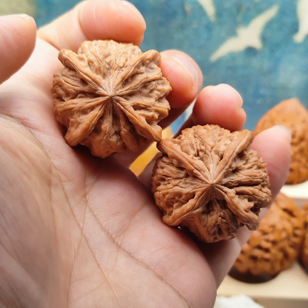 雨花石正四棱，边38，骨质坚硬，皮色红润，小众精品异形核桃！