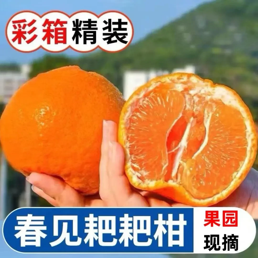 四川春见耙耙柑粑粑柑正宗丑橘丑桔水果新鲜整箱当季橘5/8斤包邮