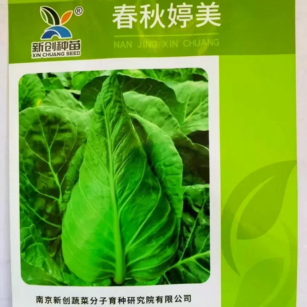 春秋婷美牛心甘蓝种籽卷心菜包头菜种子抗病中熟春秋季播蔬菜种孑