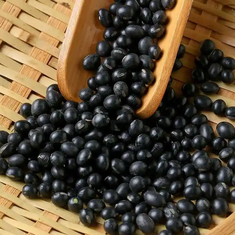 绿芯黑豆山东农家粗粮五谷杂粮原料黑豆
