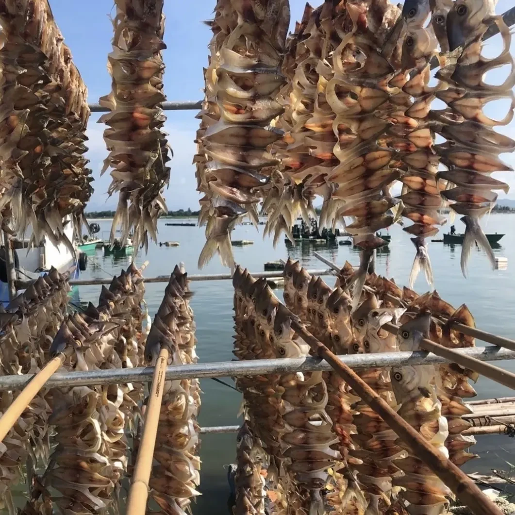 阳江深海金鲳鱼干6条装淡干淡晒7成干新鲜3-3.5两/条生晒真空包装