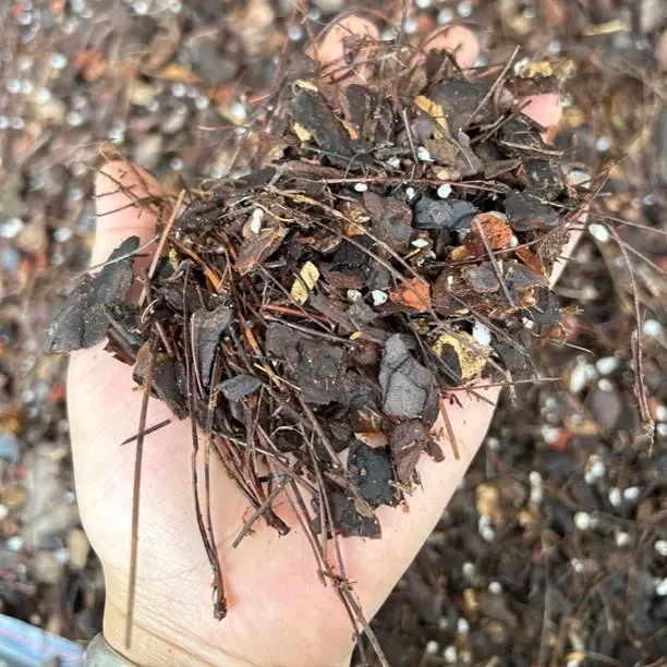 中颗粒七合一精品兰花植料适用所有兰科兰花
