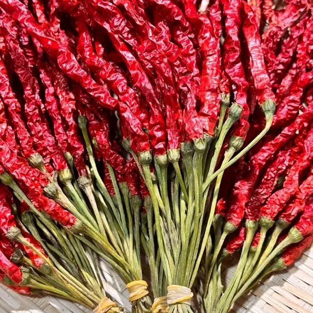 贵州毕节大方皱椒微辣特香干辣椒皮薄肉厚皱皮辣椒线椒海椒