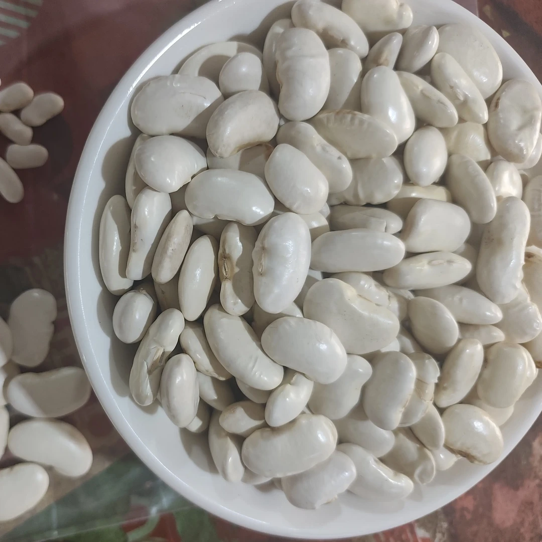 荷包豆花芸豆状元豆花纹豆五谷杂粮可煮粥煲汤打豆浆