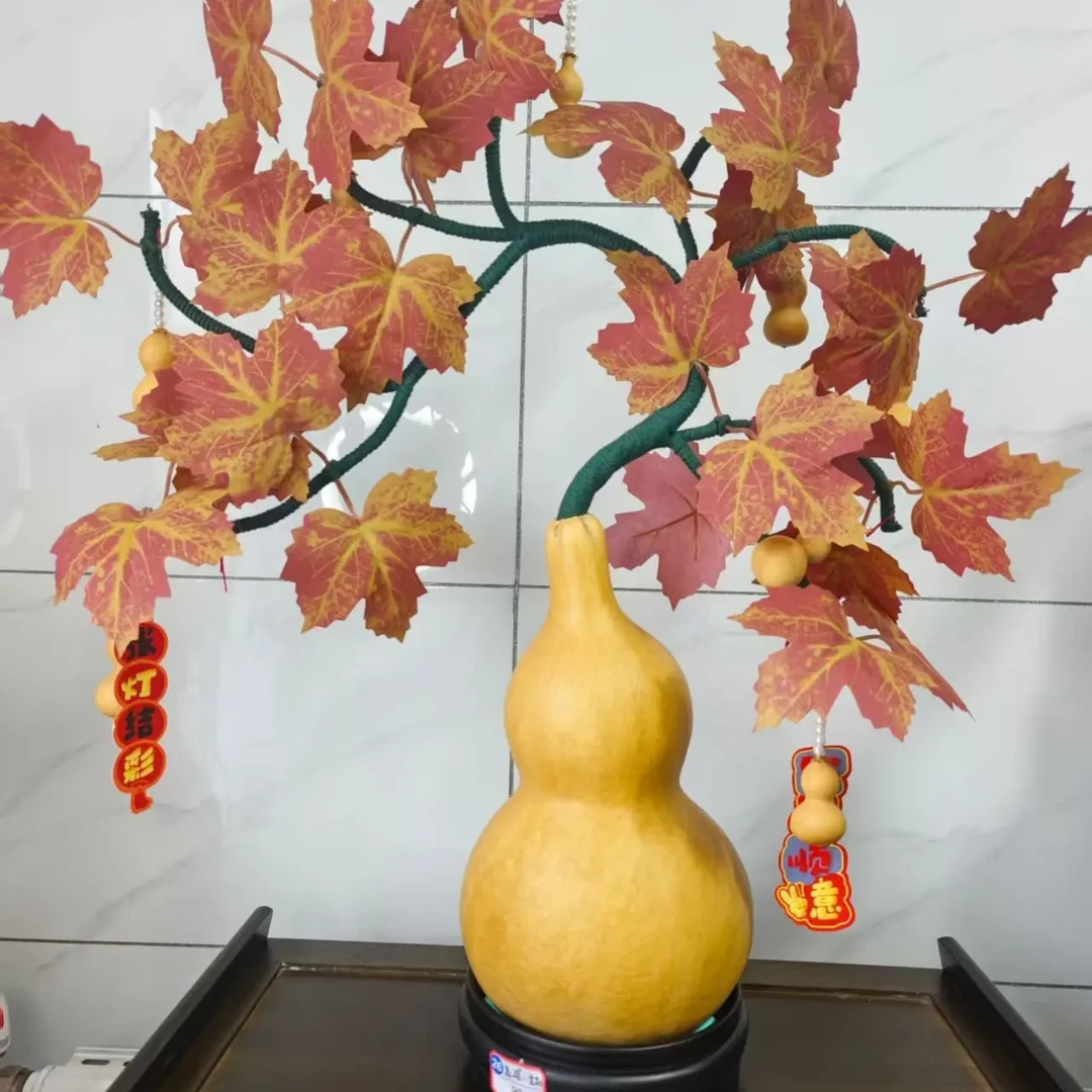 龙飞凤舞葫芦树 高30全品 一物一拍不退不换谨慎下单