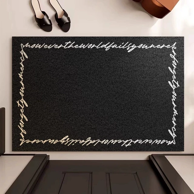 入户门丝圈地垫新款进门玄关防滑耐脏耐磨蹭土脚垫可裁剪天津地毯