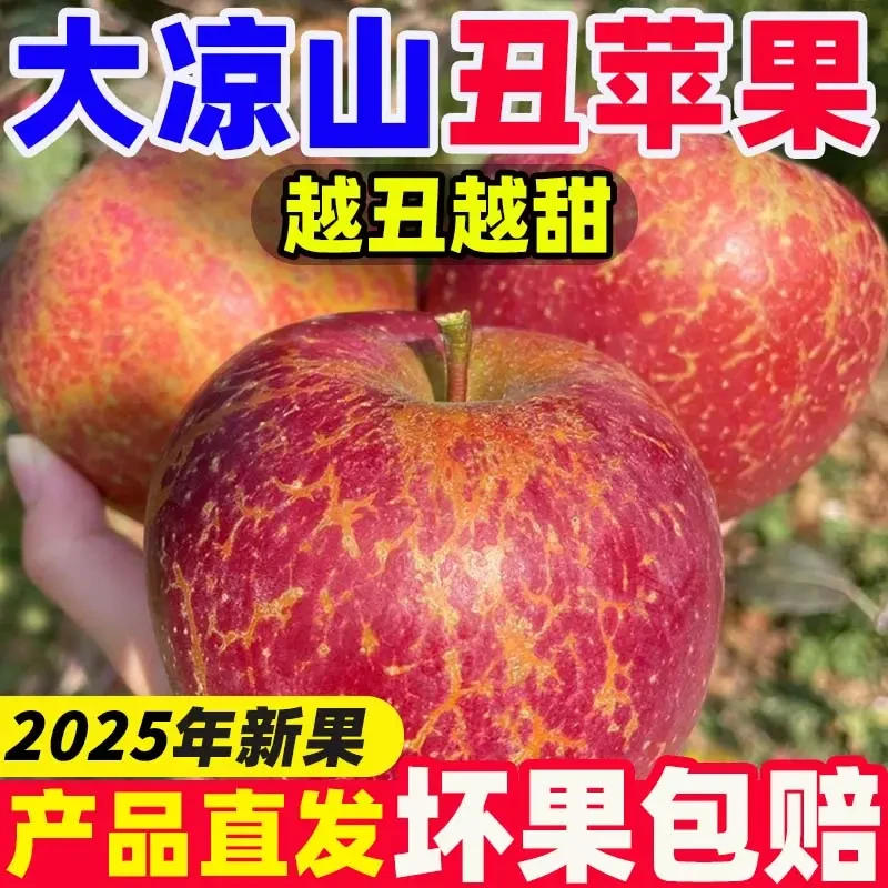 正宗大凉山丑苹果冰糖心苹果四川新鲜脆甜孕妇水果新鲜整箱 sy