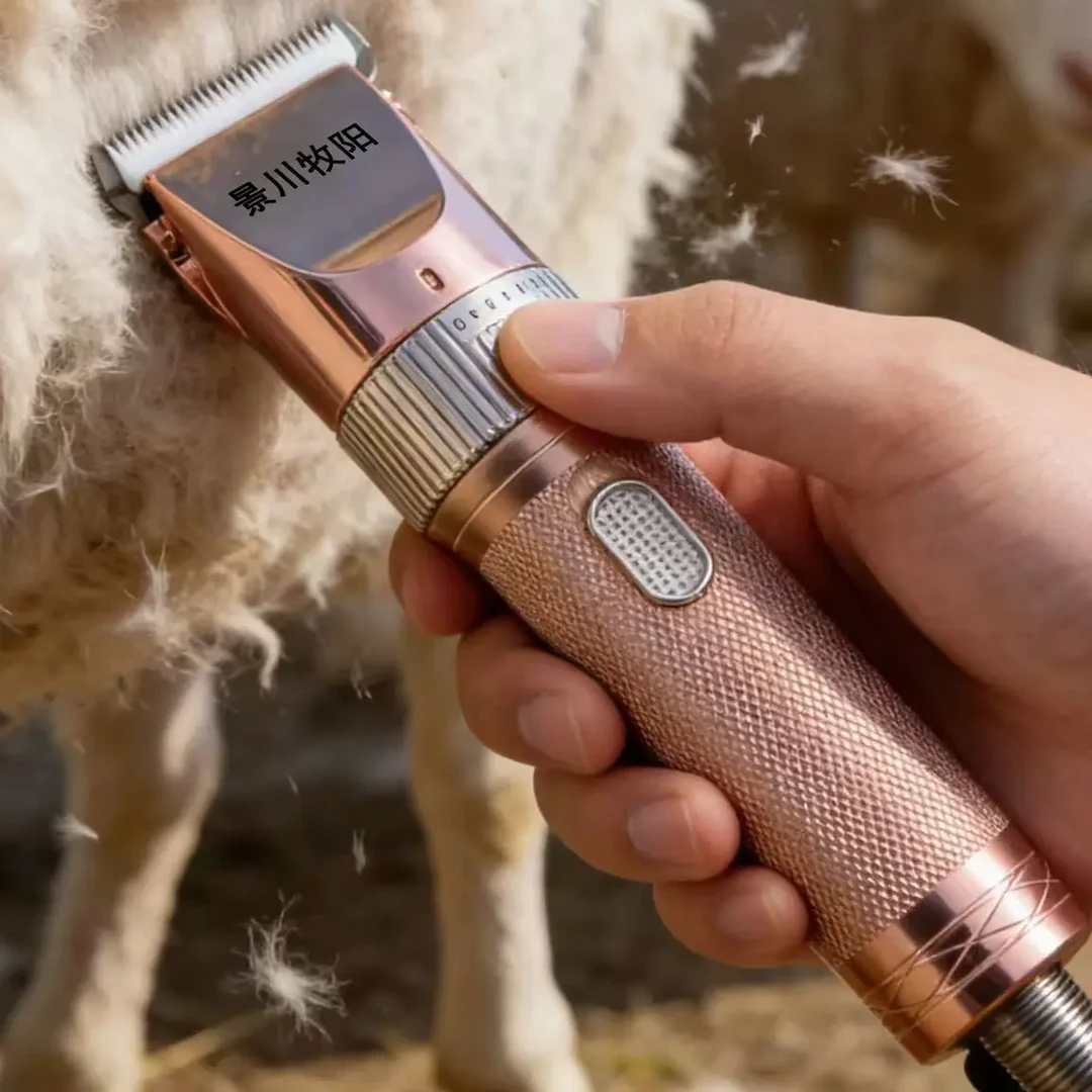 新款景川牧阳低压变频大功率小推子剪毛机羊毛剪（006款）