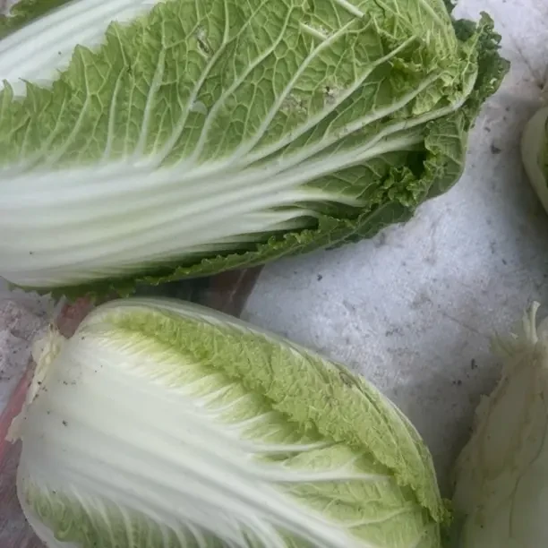 黑龙江霜打黄心大白菜新鲜清甜可腌酸菜做辣白菜