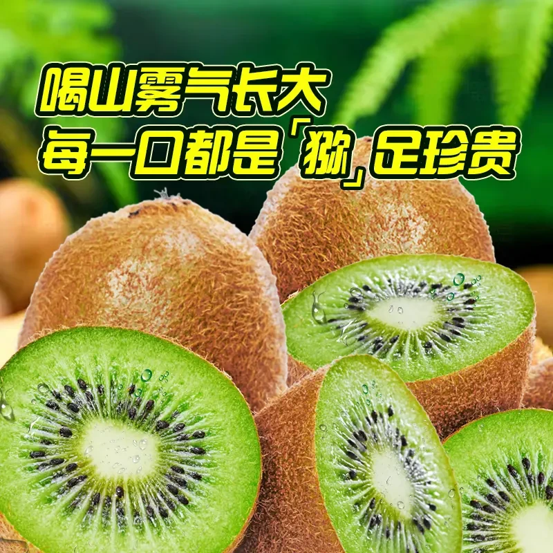 正宗贵州修文贵长猕猴桃新鲜现摘香甜多汁应季奇异果孕妇水果