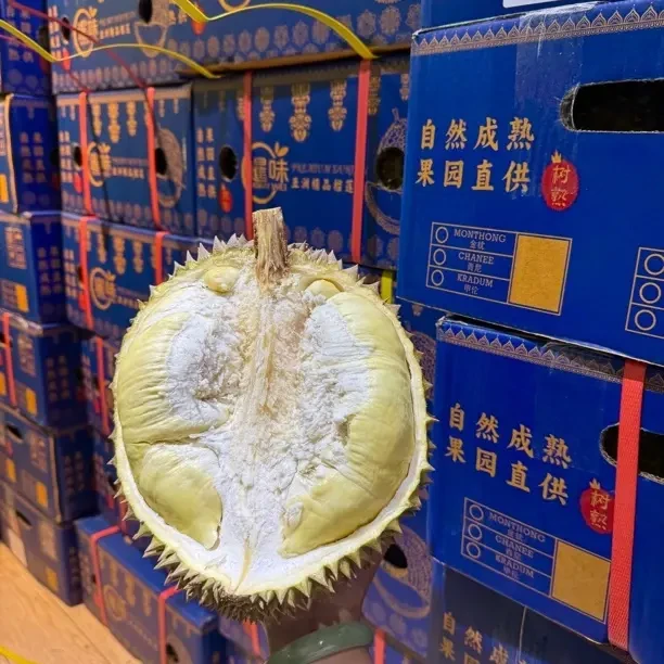 暹味空运金枕榴莲泰国进口新鲜整个带壳3 - 6斤核大小适中金枕泰国