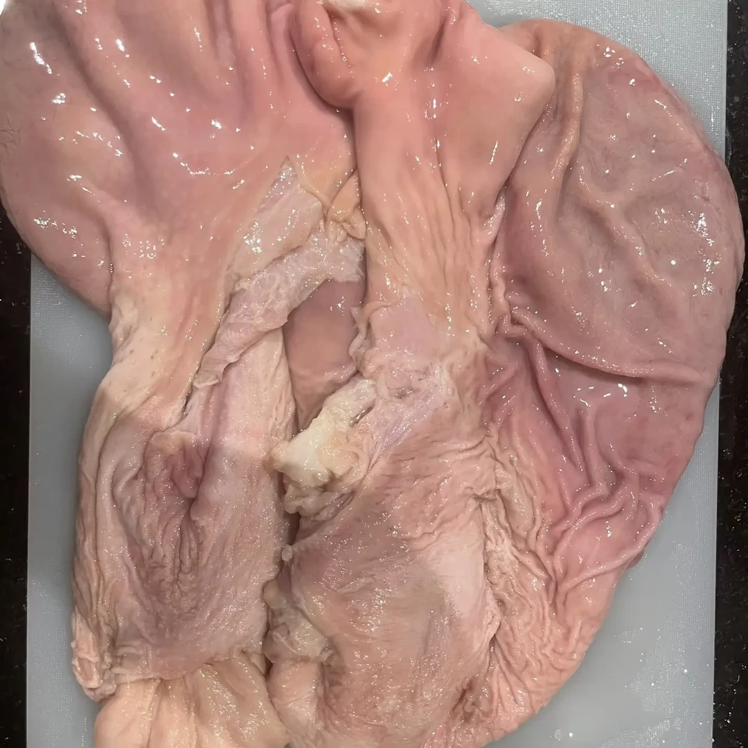 （猪肚）岳西黑猪猪肚现宰顺丰生鲜冷链