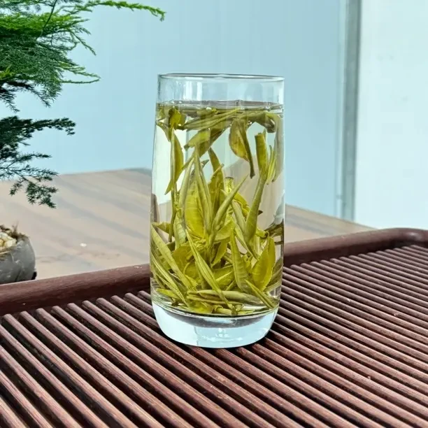 2025年横县茉莉小针王茉莉花茶特香耐泡芽头肥白毫满披