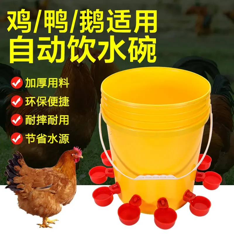 【10个装】鸡鸭家离自动饮水器水满自停小鸡饮水碗喝水装置Z