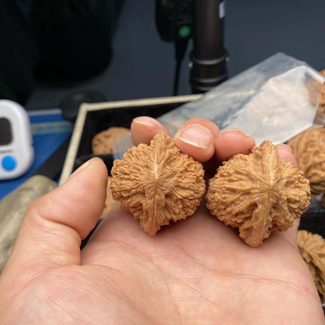 全尺寸满天星文玩核桃手把件