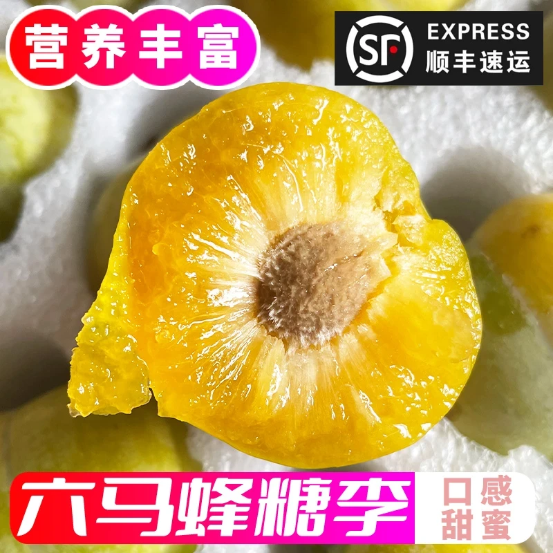 专挑大果发【支持试吃】蜂糖李正宗贵州镇宁六马蜂糖李