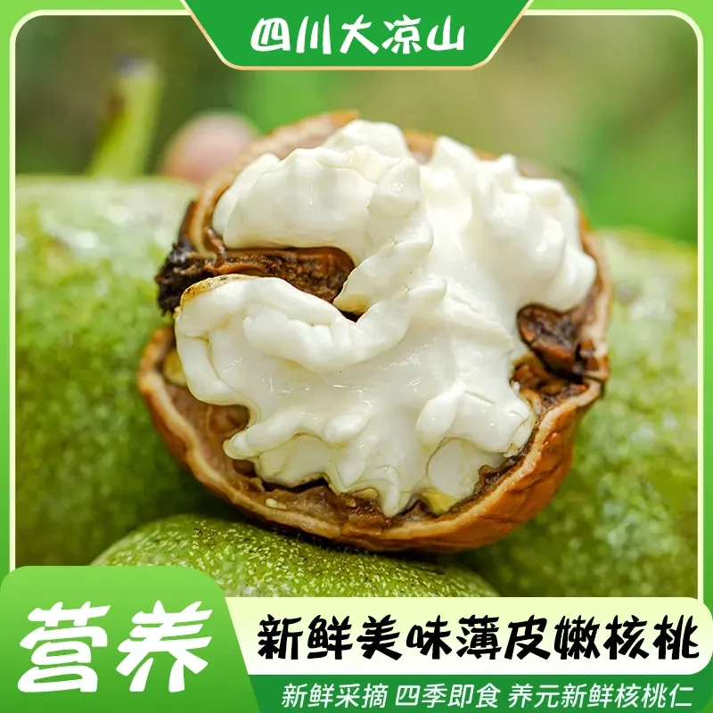 当季新品新鲜湿核桃带青皮生核桃新鲜薄皮嫩核桃孕妇专用极味欢