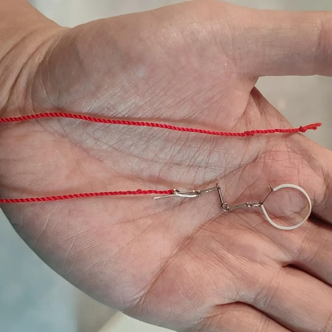 鸟用脖套训练绳适用于黄雀鹦鹉等多种鸟类