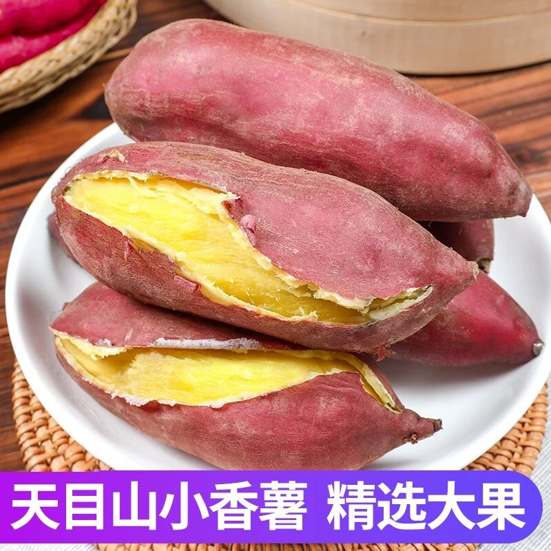 【陆姑娘】临安天目山手指红薯黄心番薯粉糯甜新鲜现挖板栗地瓜