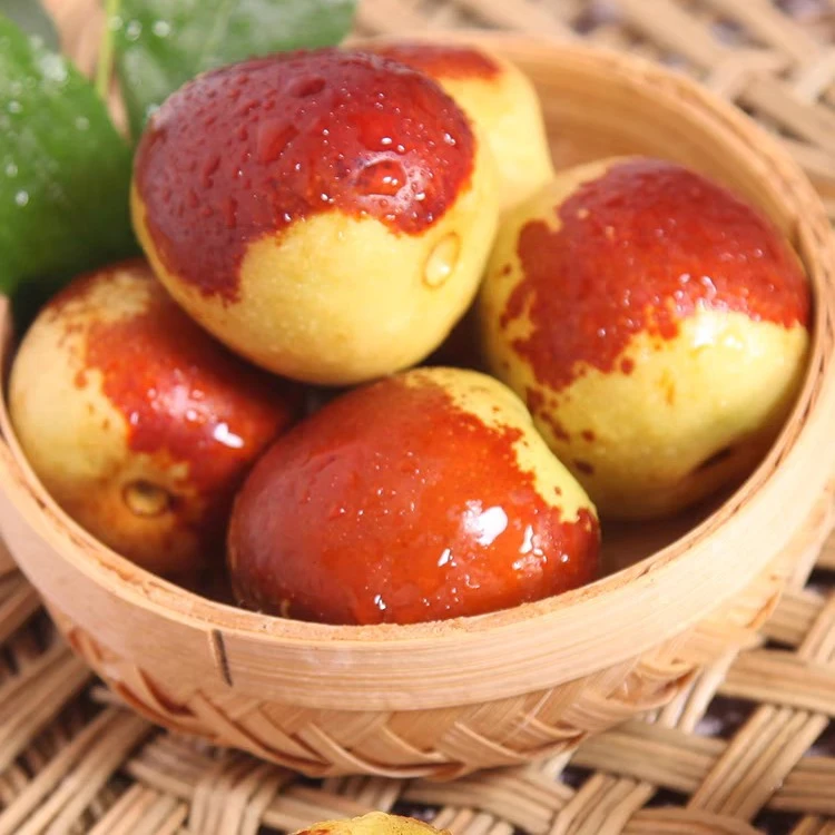 甜脆朝阳枣沾化冬枣新鲜水果