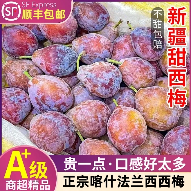 一级果 正宗新疆喀什法兰西西梅 超甜新鲜水果4斤礼盒装 多汁
