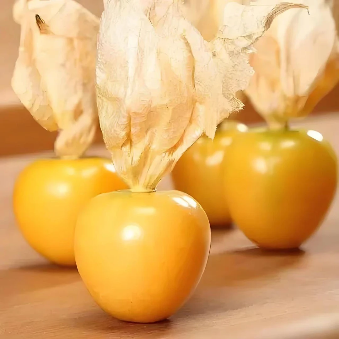 东北姑娘果应季姑娘果新鲜黄金果香甜多汁灯笼果